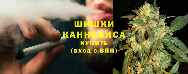 сатива Аркадак