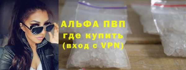 сатива Аркадак