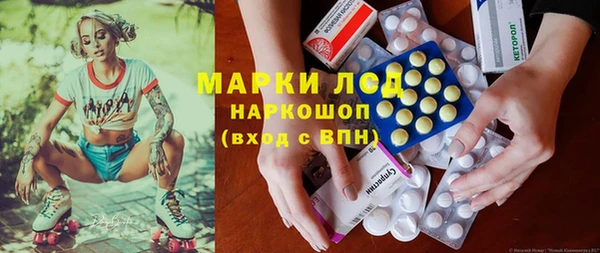 сатива Аркадак