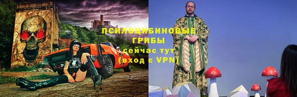 сатива Аркадак