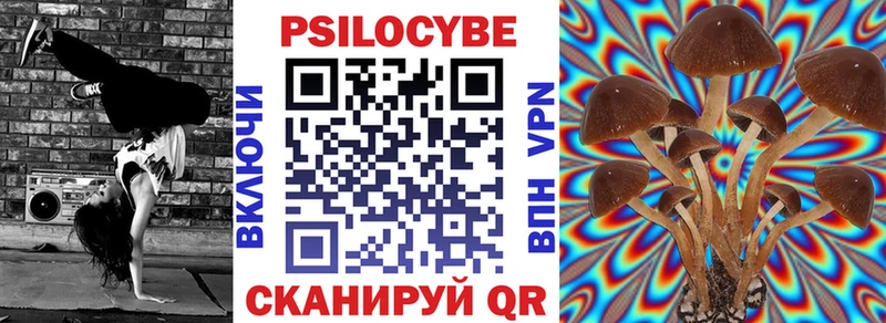 kraken ССЫЛКА  Талдом  Псилоцибиновые грибы ЛСД  купить наркотик 
